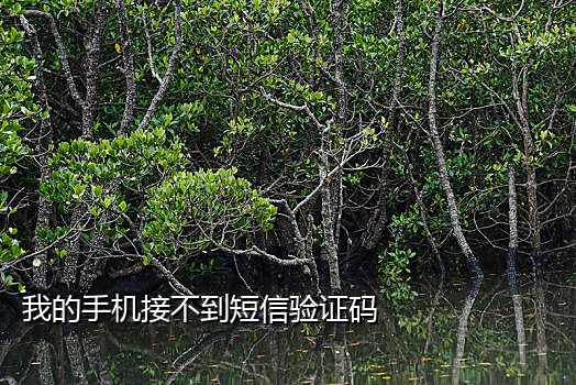 美团外卖想接就接码