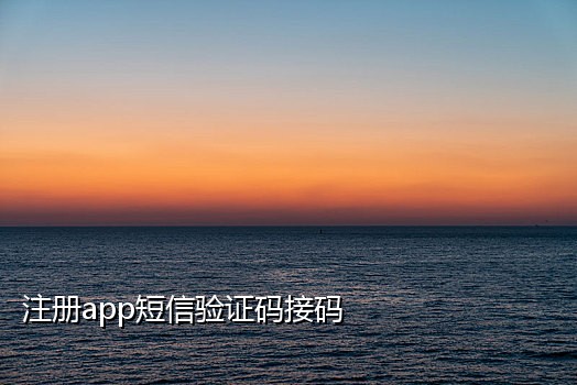 2020手机接码软件平台