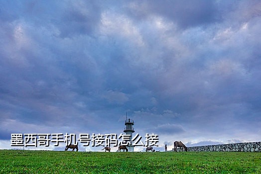 最全短信接码平台