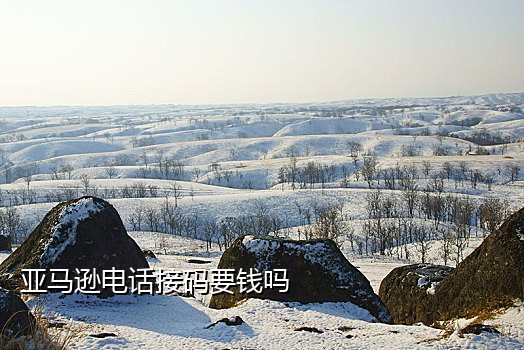 注册微信小号接码平台