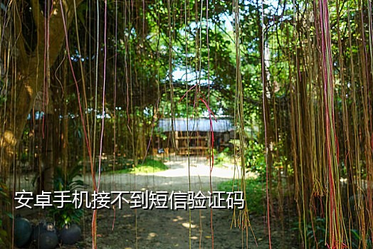 怎么接短信验证码平台