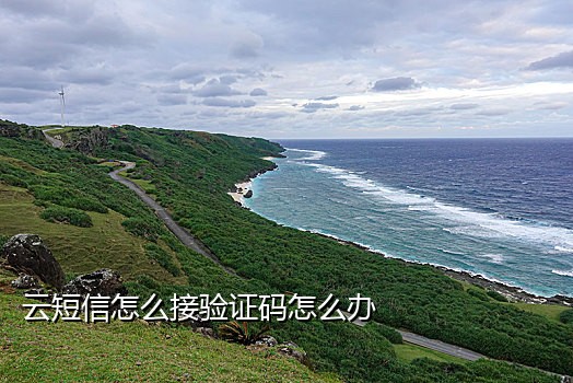 美国手机号在线接码