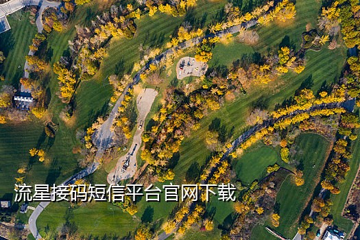 在线短信接验证码