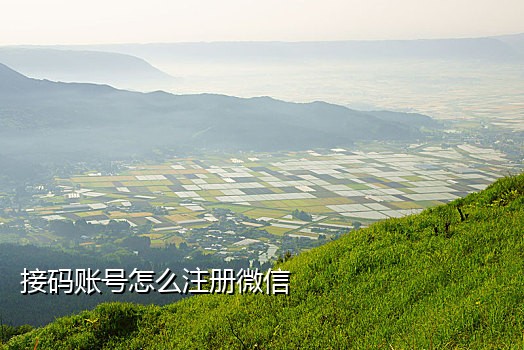 云享手机接码
