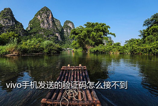 有QQ密保手机的接码平台