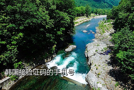 移动手机号接验证码别人