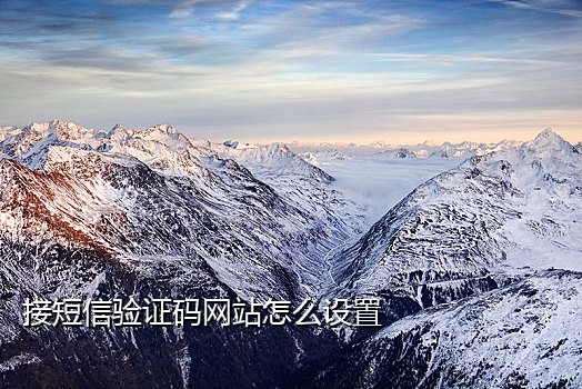 虚拟接码短信平台
