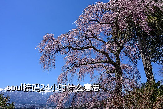 星巴克满减接码