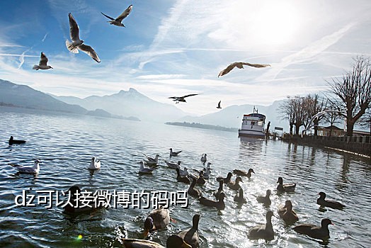 美国抖音接码器