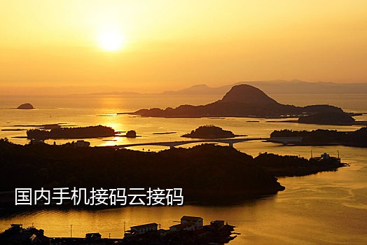 西瓜平台可以接码美团吗