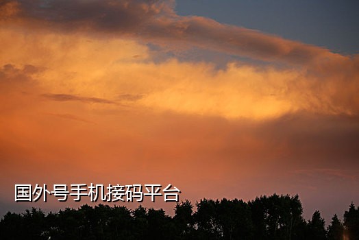 五码接码app下载安装苹果