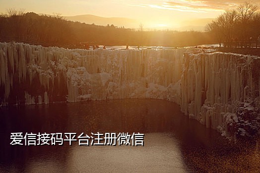 微信专业接码什么意思啊