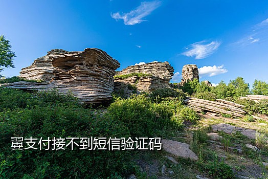 微信账号接码注册平台