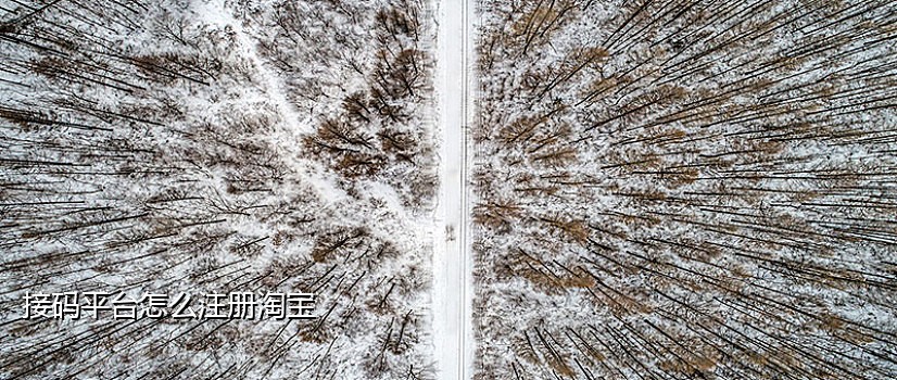 微信能不能用接码软件注册新账号