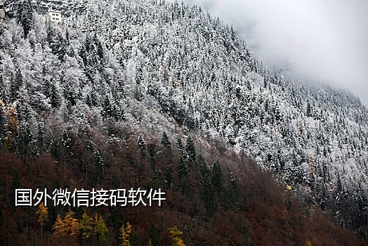 微信代接短信验证码软件下载