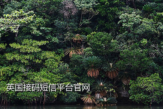 腾讯云接码教程
