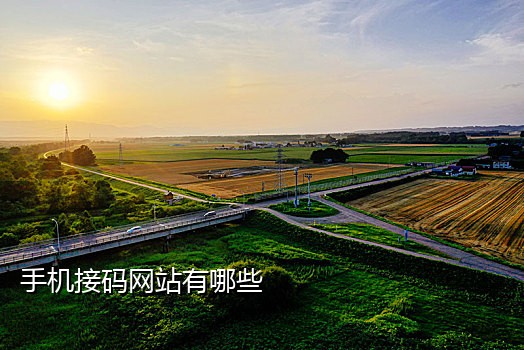 淘宝新接码