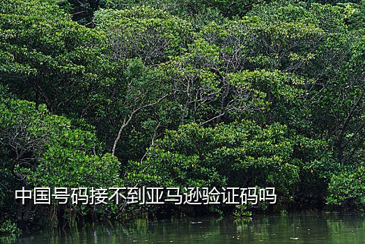 留学原先的手机卡接验证码