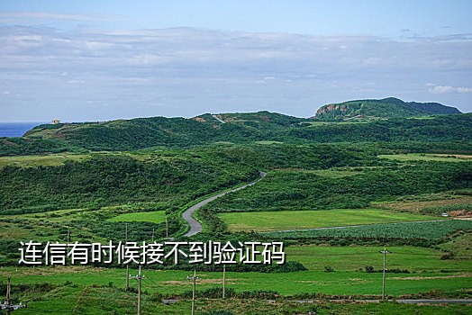 临时接短信验证码