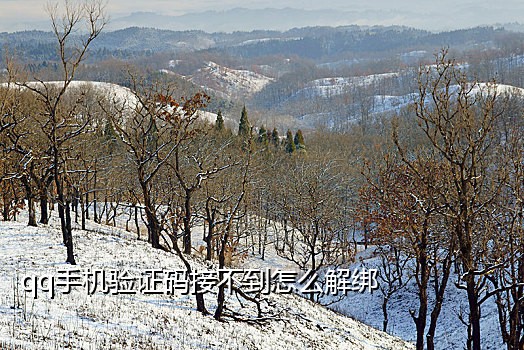 联通手机号接码平台