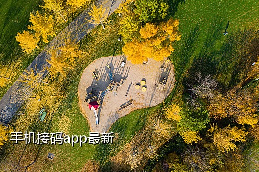 手机接码诈骗套路