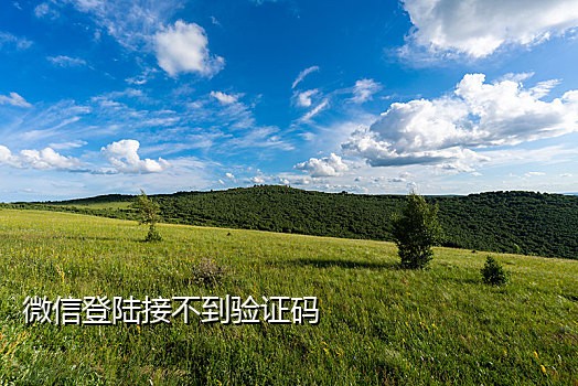 手机接码诈骗案例大全视频