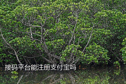 手机接码验证接口是什么