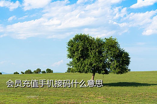 手机接码是怎么实现的