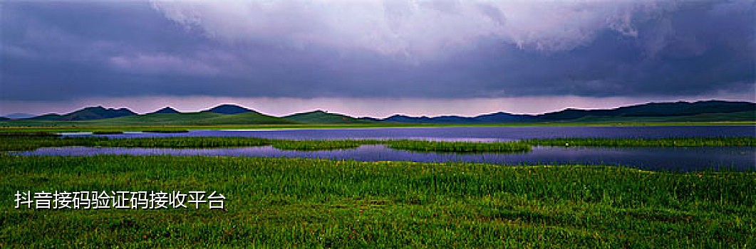 手机接码卡池