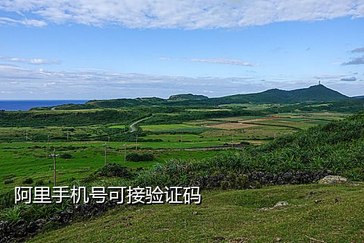 手机接码价格