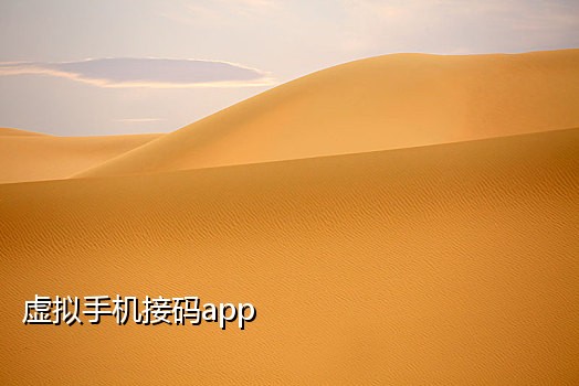 手机接不到纸飞机验证码