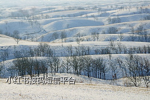 手机号接码软件