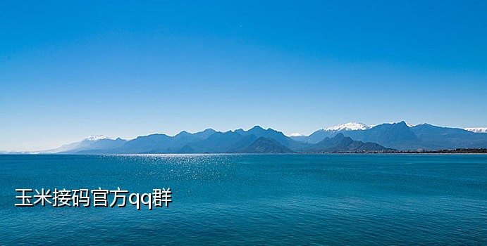 手机号付费接码