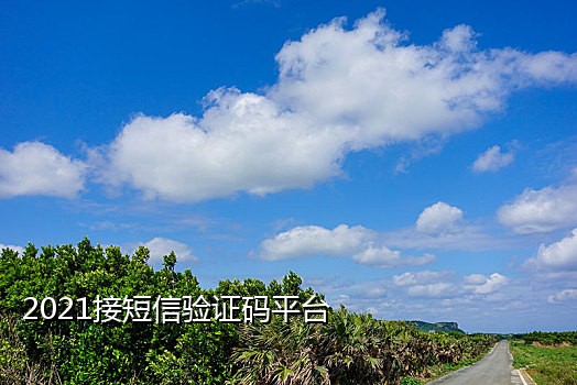 手机短信验证码代接平台