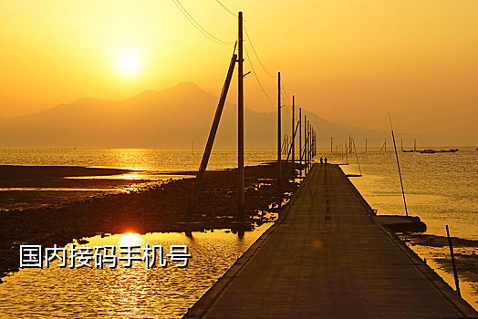 手机电话验证码接码平台