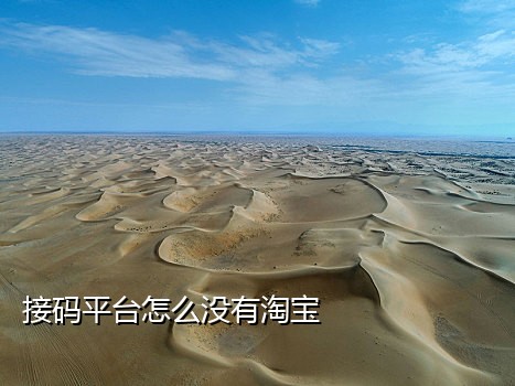 快速短信接码