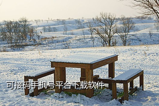 批量注册微信接码辅助