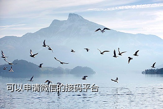 陌陌接码技术怎么样的好用