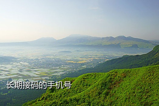 模拟器手机接码