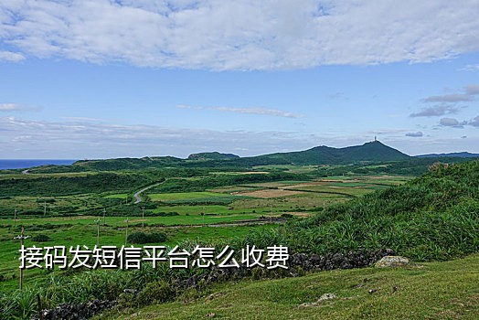 米粒接码平台淘宝项目