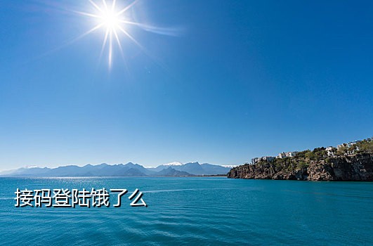 美国接码手机号平台