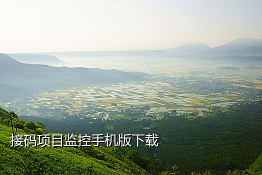 类似椰子的短信接码