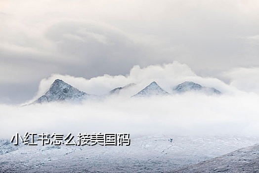 快手注册接码用什么