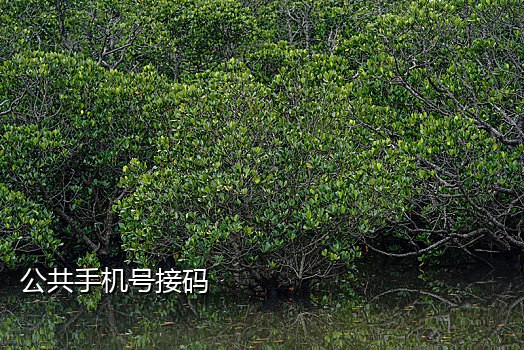 快手新接码
