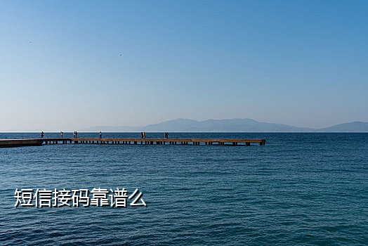 可发短信的接码器