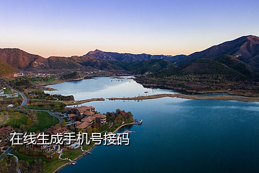 卡商qq接码
