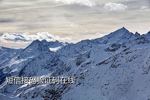 接美团验证码软件