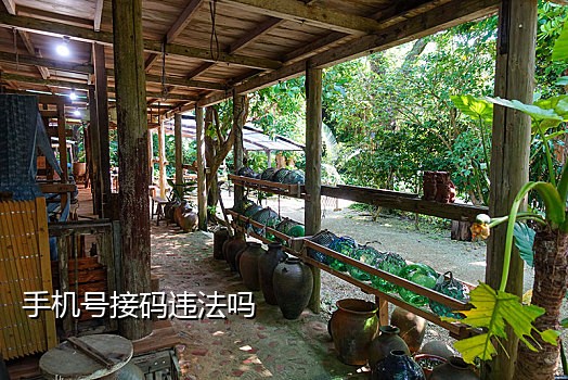 接码注册交易猫