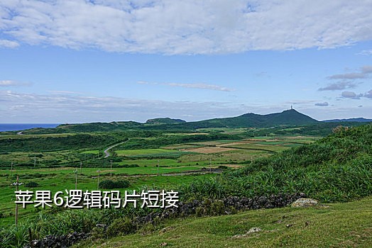 可以接码的手机号