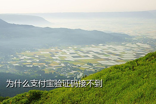 接码平台收不到注册微信